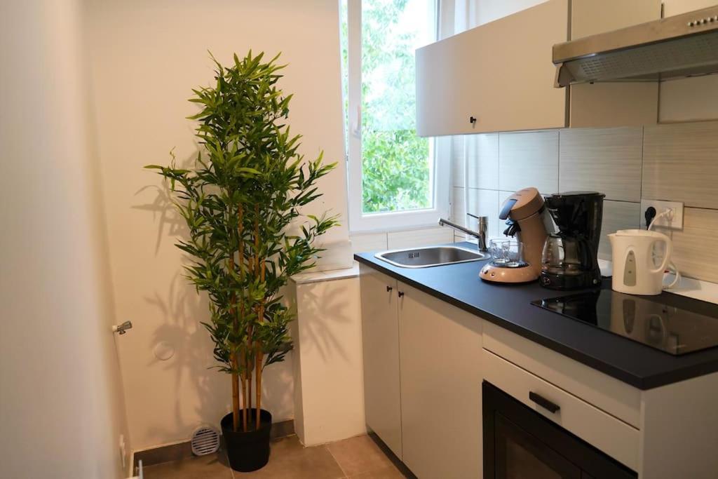 Rm-1 - Appartement F2 Au 1Er Etage Pour 1-3 Pers مُلووز المظهر الخارجي الصورة
